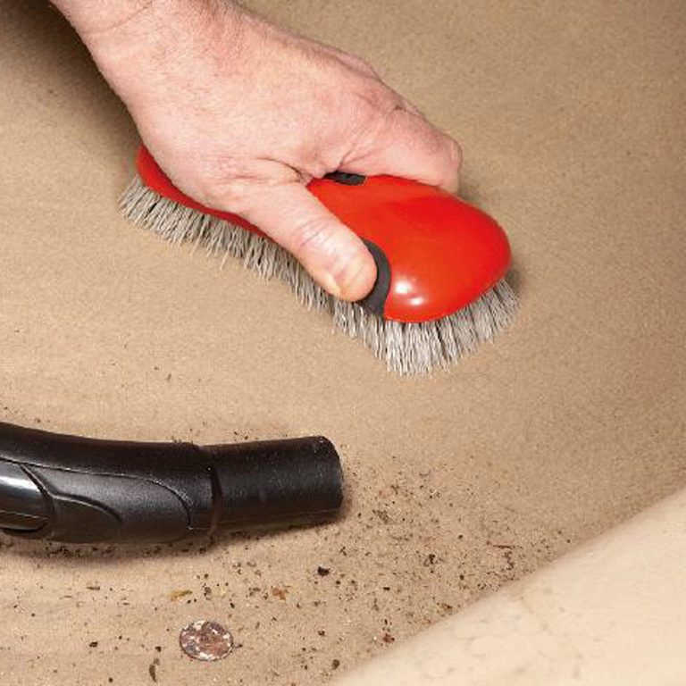 Brush and Vacuum Your Carpet
